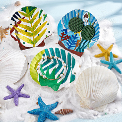 Natural Shell Display Decorations&nbsp;SSHEL-WH0001-39D