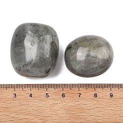天然石ラブラドライトビーズ  転がった石  穴なし/ドリルなし  ナゲット  20~56x18~30.5x8~28mm&nbsp;G-G348-01B-10