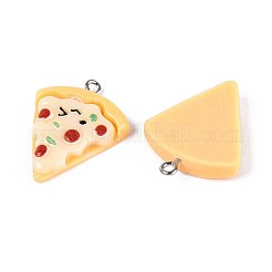 Opaque Resin Pendants&nbsp;RESI-T056-08
