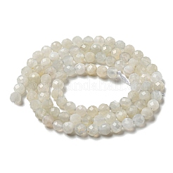 Natural Moonstone Beads Strands&nbsp;G-F736-01-AB