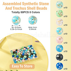80Pcs 8 Colors Assembled Synthetic Stone and Trochus Shell Beads&nbsp;G-TA0002-31A
