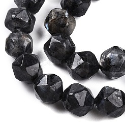 Natural Larvikite Beads Strands&nbsp;G-T141-04A