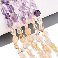 Natural Rose Quartz & Amethyst & Citrine(Heated) & Prehnite Beads Strands&nbsp;G-N371-01A-01