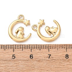 304 Stainless Steel Pendants&nbsp;STAS-C184-03G