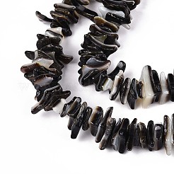 天然ブラックリップシェルビーズ連売り  チップ  5~31x5~31x1.5~6mm  穴：0.6mm  約133~144個/連  16.14~16.54インチ（41~42cm）&nbsp;SSHEL-N040-17