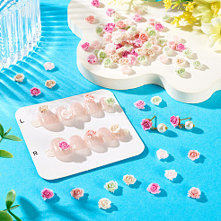 100Pcs Luminous Resin Decoden Cabochons&nbsp;RESI-TA0005-30