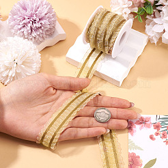 Polyester Lace Ribbon&nbsp;OCOR-TA0004-04E