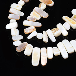 Natural Trochid Shell/Trochus Shell Beads Strands&nbsp;SHEL-S258-082-A01