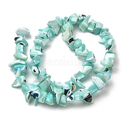 Natural Trochid Shell/Trochus Shell Beads Strands&nbsp;SHEL-B003-02K