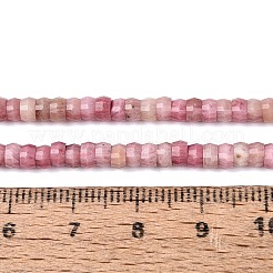 Natural Rhodonite Beads Strands&nbsp;G-Q606-46A-16