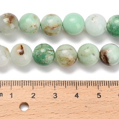 Natural Chalcedony Beads Strands&nbsp;G-C259-B03-10mm