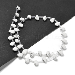 Natural Howlite Beads Strands&nbsp;G-Q167-A19-02