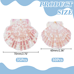 2 Styles Natural Shell&nbsp;SSHEL-WR0001-06B