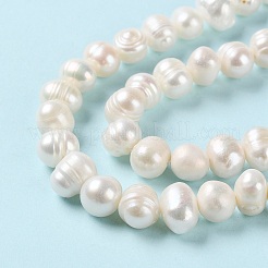天然養殖淡水パールビーズ連売り  ポテト  グレードAB +  パパイヤホイップ  6~7x7~8mm  穴：0.6mm  約47個/連  12.99インチ（33cm）&nbsp;PEAR-E018-53