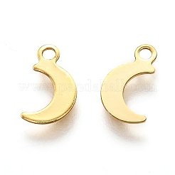 201 Stainless Steel Charms&nbsp;STAS-B001-11G