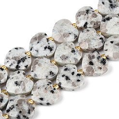 Natural Sesame Jasper Beads Strands&nbsp;G-P592-B15-01