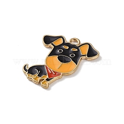 Alloy Enamel Pendants&nbsp;FIND-I047-01KCG-04