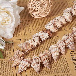 スパイラルシェルビーズ  染め  ペルー  14~40x10~20x3~15mm  穴：1mm  約40~50個/箱&nbsp;BSHE-YW0001-02