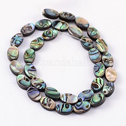 Natural Abalone Shell/Paua Shell Beads Strands&nbsp;SSHEL-G003-8-6x10mm