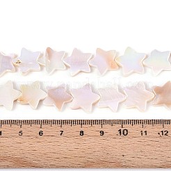天然淡水シェルビーズ連売り  ABカラーメッキ  スター  貝殻色  14.5~16x14.5~17x2~3.5mm  穴：0.7mm  約29~30個/連  15.55~16.14インチ（39.5~41cm）&nbsp;SSHEL-N040-18