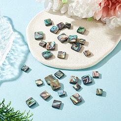 30Pcs 3 Styles Natural Paua Shell Beads&nbsp;BSHE-TA0001-37