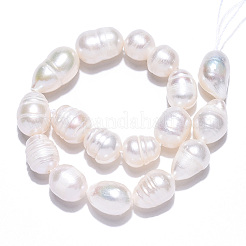 天然養殖淡水パールビーズ連売り  バロックケシパールライスビーズ  貝殻色  9~17x7~8.5mm  穴：0.7~0.8mm  約17~18個/連  7.09インチ（18cm）&nbsp;PEAR-N012-08E