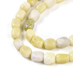 Natural Jade Beads Strands&nbsp;G-N346-04A-13