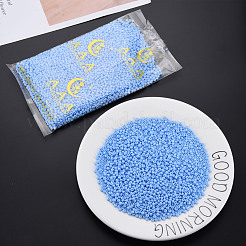 6/0 Glass Seed Beads&nbsp;SEED-T005-14-B20