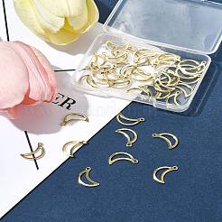 40Pcs 304 Stainless Steel Charms&nbsp;STAS-FS0001-51