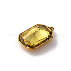 316 Stainless Steel Faceted Glass Pendants&nbsp;STAS-K258-48G-05