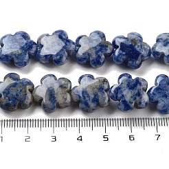 Natural Blue Spot Jasper Beads Strands&nbsp;G-F769-D01-01