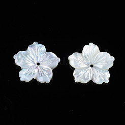 ナチュラルホワイトシェルビーズ  花  14.5x14.5x1.5~2.5mm  穴：1mm&nbsp;SSHEL-N027-131B-01