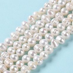 天然養殖淡水パールビーズ連売り  ポテト  グレードa ++  パパイヤホイップ  7~8x6~7mm  穴：0.6mm  約49個/連  13.39''（34センチメートル）&nbsp;PEAR-E018-10
