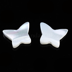 Natural Trochid Shell/Trochus Shell Beads&nbsp;SSHEL-N034-115