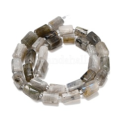 Natural Labradorite Beads Strands&nbsp;G-F836-B06-01