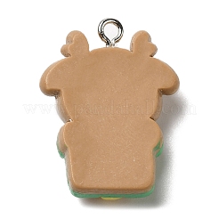 Christmas Opaque Resin Pendants&nbsp;CRES-D016-01E