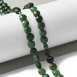 天然石アフリカンジェイドビーズ連売り  ファセットコインビーズ  フラットラウンド  6x4mm  穴：0.8mm  約62個/連  15.55''（39.5センチメートル）&nbsp;G-NH0039-A01-01