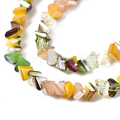 Electroplate Glass Beads Strands&nbsp;EGLA-N002-09-06D