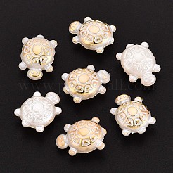 ABSプラスチックパール調ビーズ  カメ  ゴールドライン入り  半分メッキ  ホワイト  13x9x5mm  穴：1.6~1.8mm  約2380個/500g&nbsp;OACR-T029-78A
