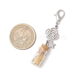 Chakra Natural Lapis Lazuli & Amethyst & Carnelian & Citrine & Garnet & Green Aventurine & Synthetic Turquoise Chips inside Glass Wishing Bottle Pendant Decoration&nbsp;HJEW-JM03308