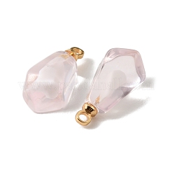 Transparent Resin Imitation Fruit Pendants&nbsp;FIND-E059-02A
