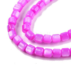 Natural Freshwater Shell Beads Strands&nbsp;SHEL-N003-33-A05