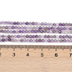 Natural Amethyst Beads Strands&nbsp;G-L628-B09-2mm