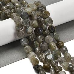 Natural Labradorite Beads Strands&nbsp;G-P497-01E-47