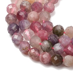Natural Plum Blossom Tourmaline Beads Strands&nbsp;G-D110-A01-02