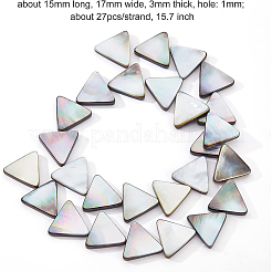 1 Strand Natural Black Lip Shell Bead Strands&nbsp;SHEL-BC0001-012