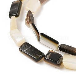 Natural Black Lip Shell Beads Strands&nbsp;SHEL-R100-01A