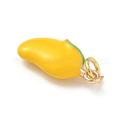 Brass Enamel Pendants&nbsp;KK-H523-01H-G