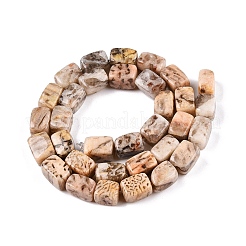 Natural Feldspar Beads Strands&nbsp;G-T138-84