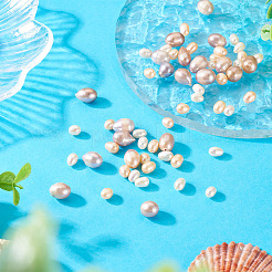 60Pcs 3 Styles Natural Cultured Freshwater Pearl Beads&nbsp;PEAR-TA0001-24